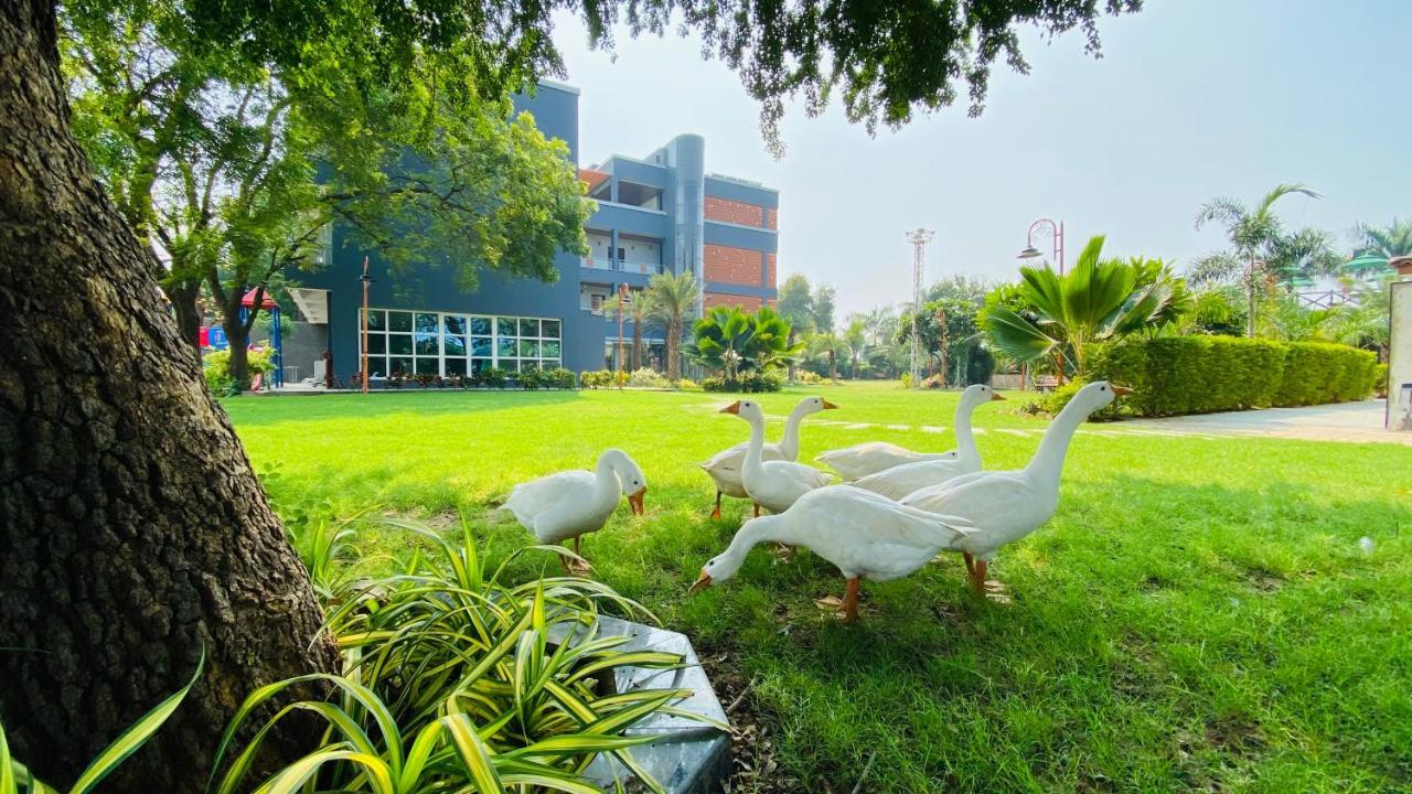 Krishna Riverside Resort Vasad المظهر الخارجي الصورة